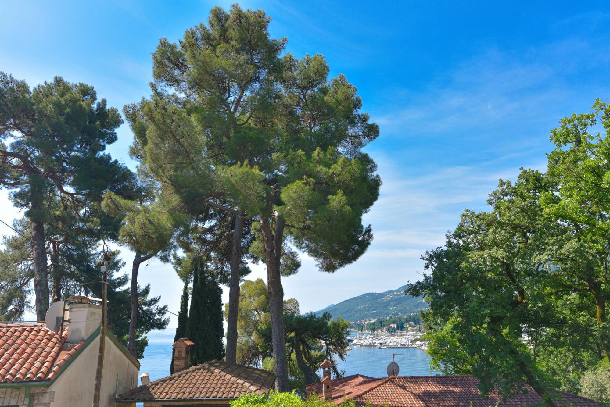 Apartment Vosilla
